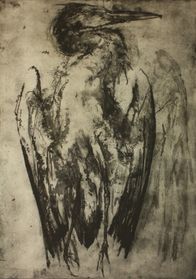 Heron series 1 2013, etching, ed. 2.20, edited